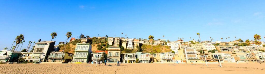 The Jungle Playa del Rey